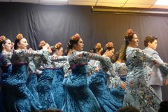 Galerie photo Spectacle de flamenco du vendredi
